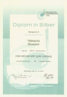 Diplom Miltenberg 2006 (130kb)
